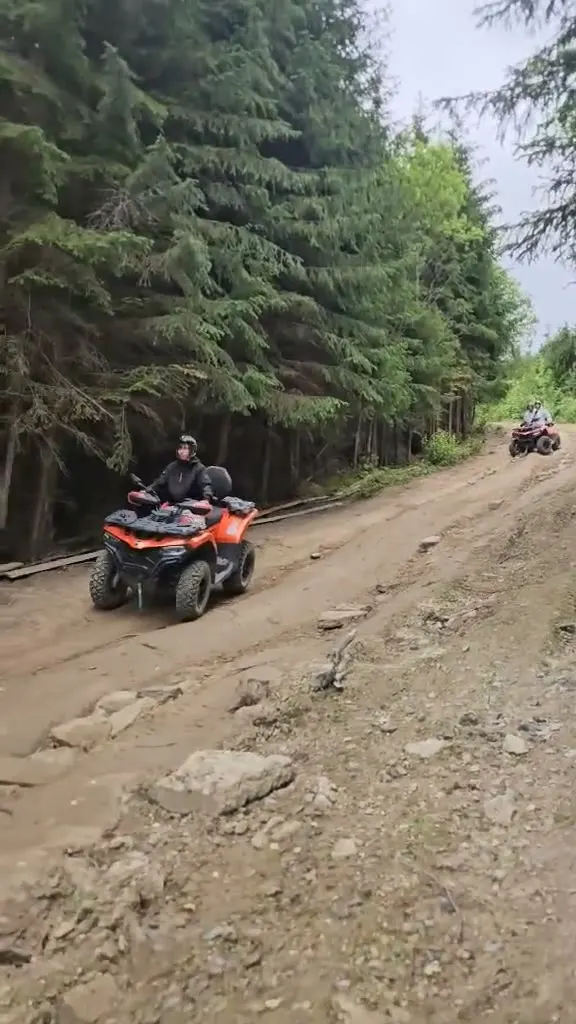 Квадроцикли на лісовій стежці